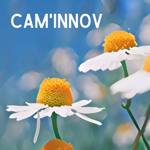 LOGO CAMINNOV