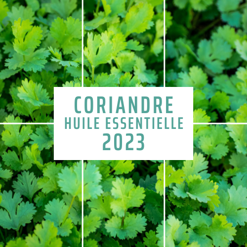 CORIANDRE HE