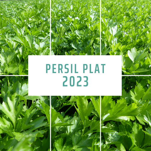 PERSIL PLAT