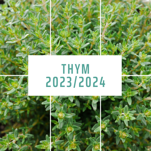 Thym 2023 24