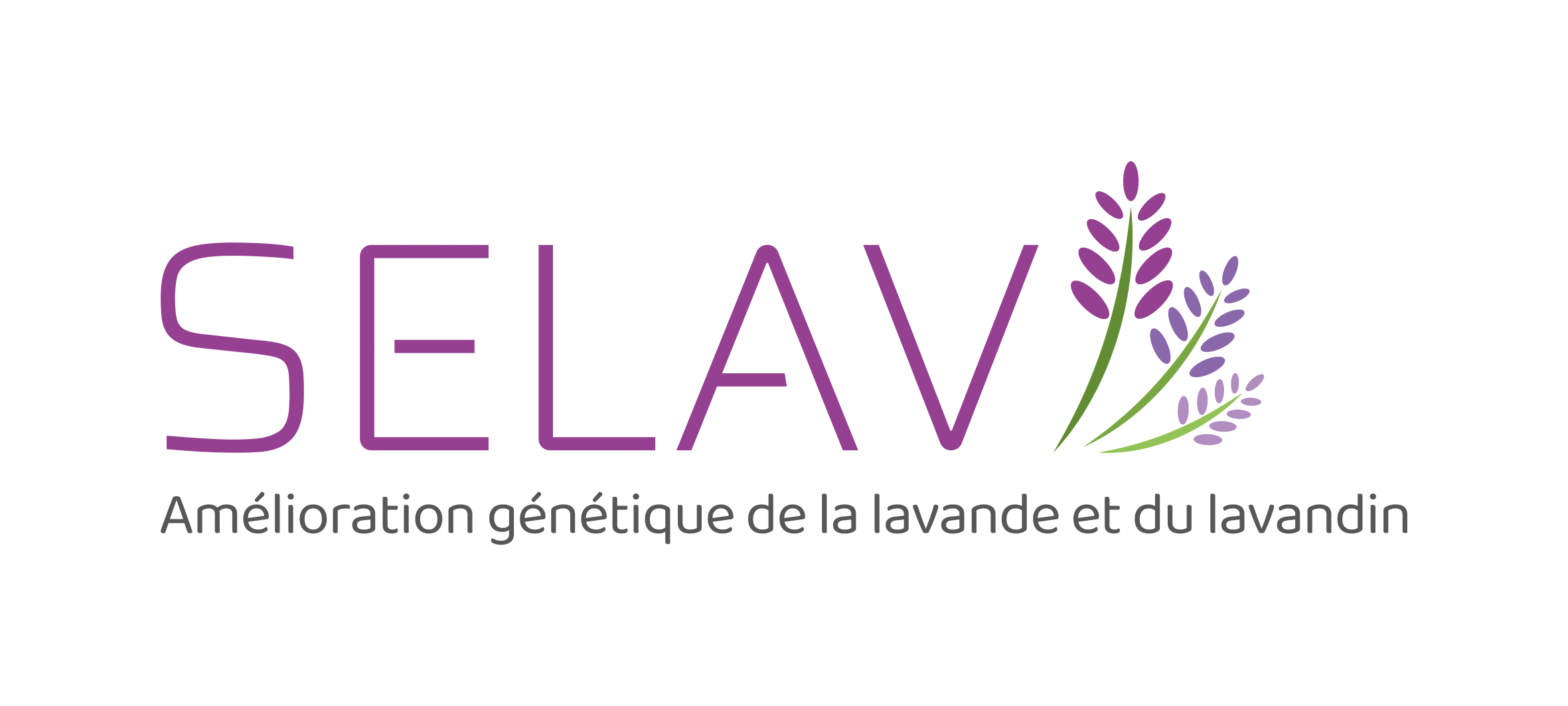 LogoSELAV BL