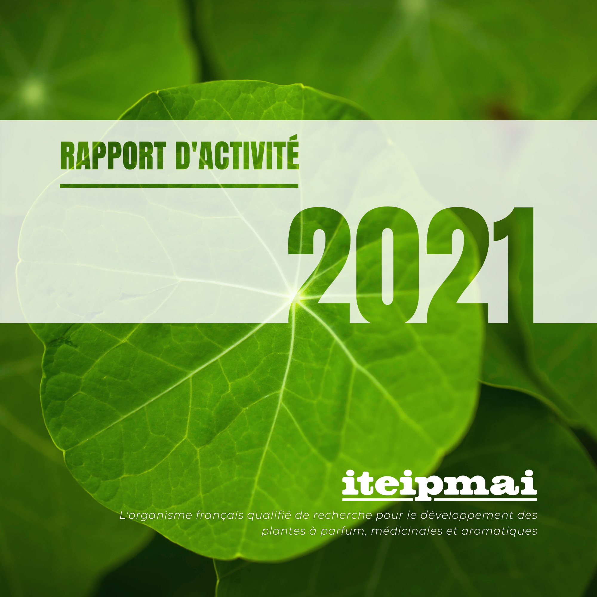 Rapport 2021 pageGarde
