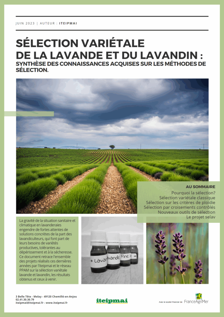 RG Lavande 2023 PAGE1