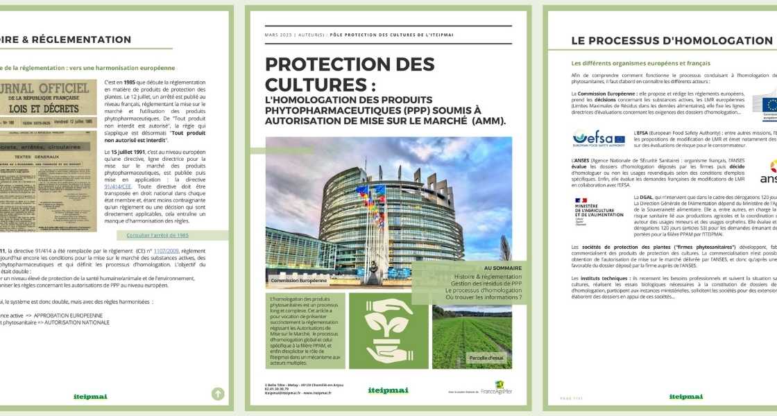 protection cultures illustration