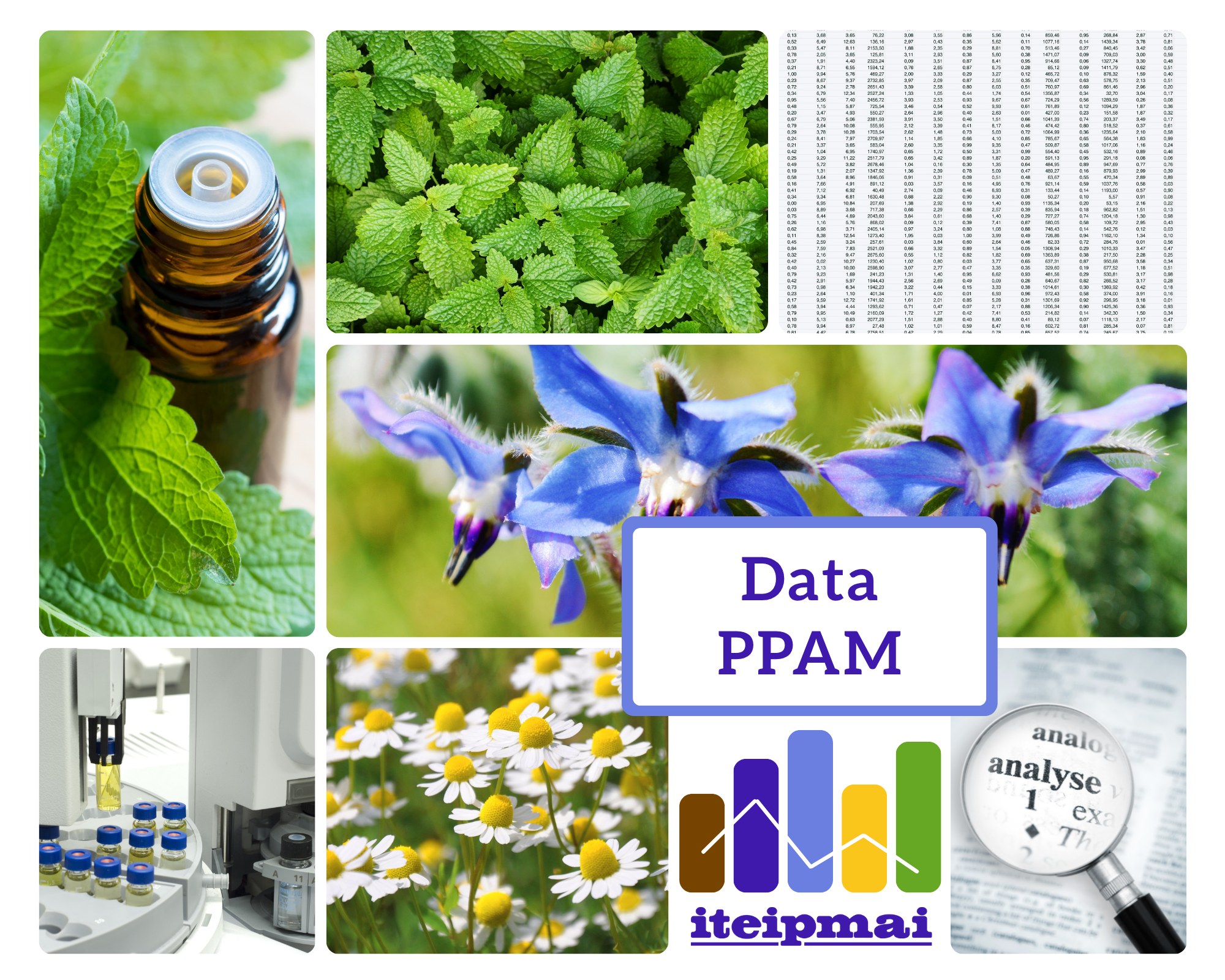 data ppam