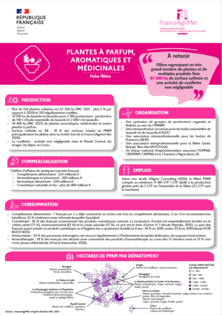 Fiche filiere FAM