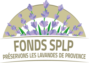 logo SPLP