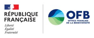 Logo-OFB
