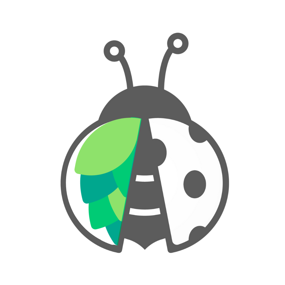 coccinelle seule
