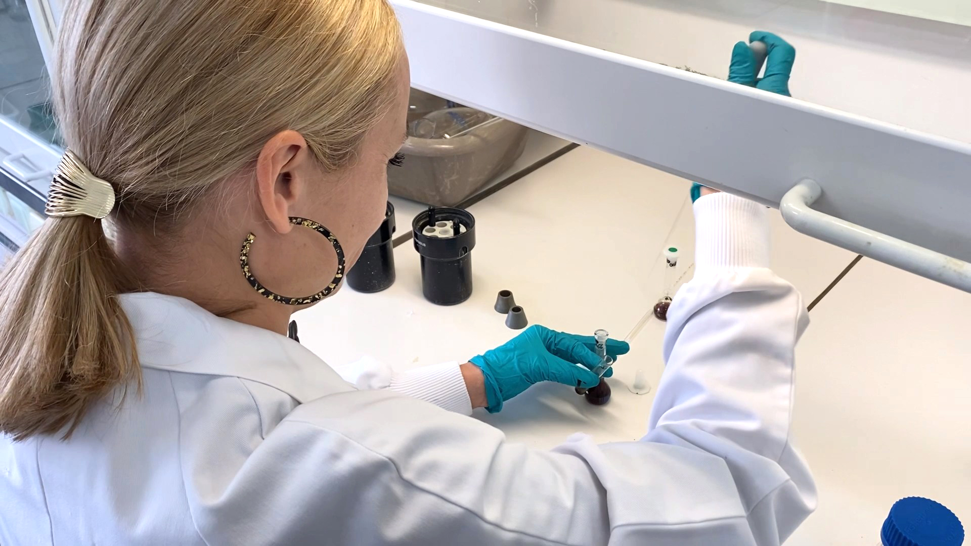 Analyses phytochimique