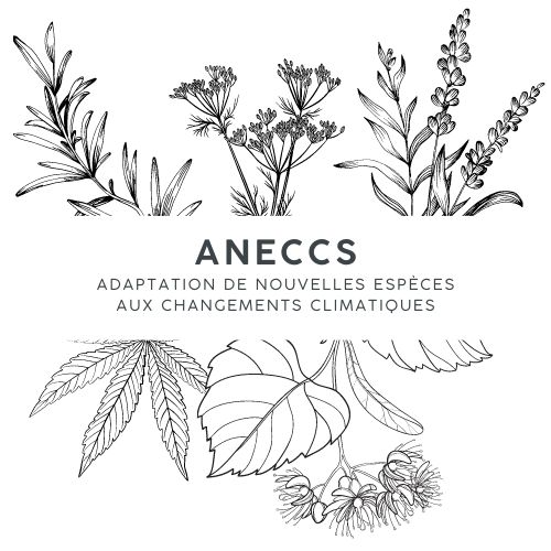 Vignette ANNECs