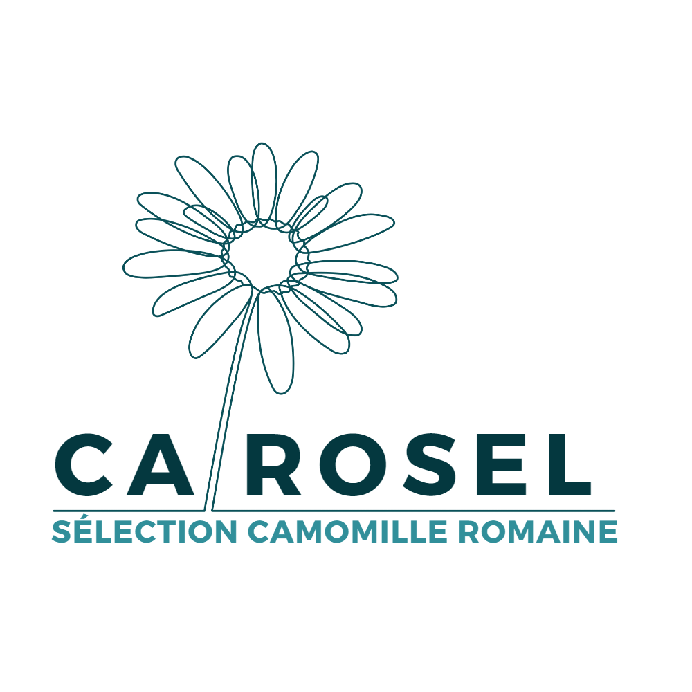 Logo CAROSEL