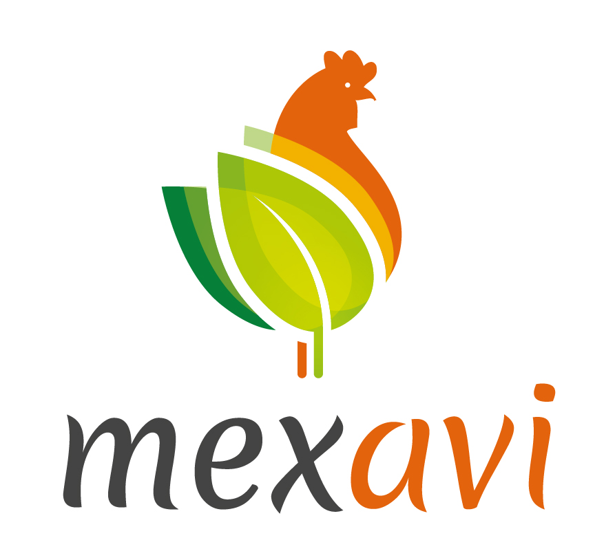 Logo-mexavi