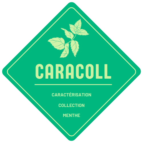 logo caracoll