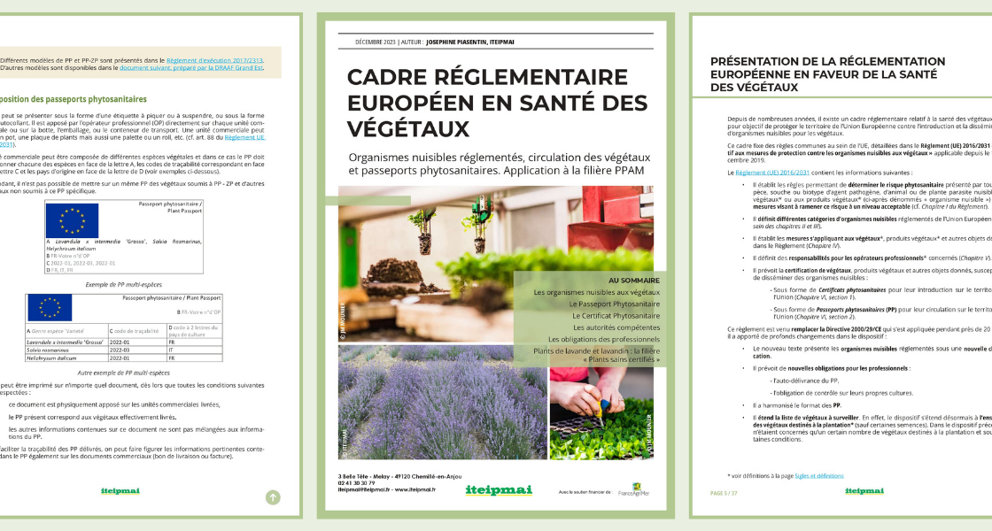 Passeport2023 imageCouv