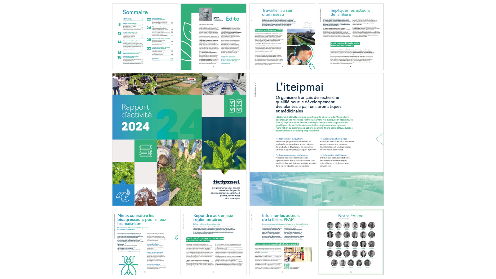 Rapport activite 2024