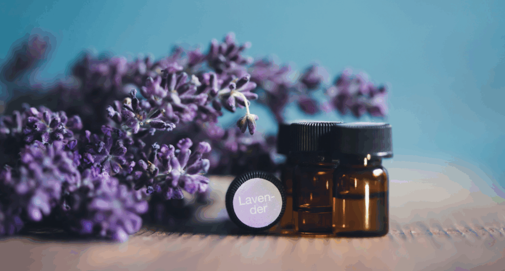 USAGES LAVANDE image couv