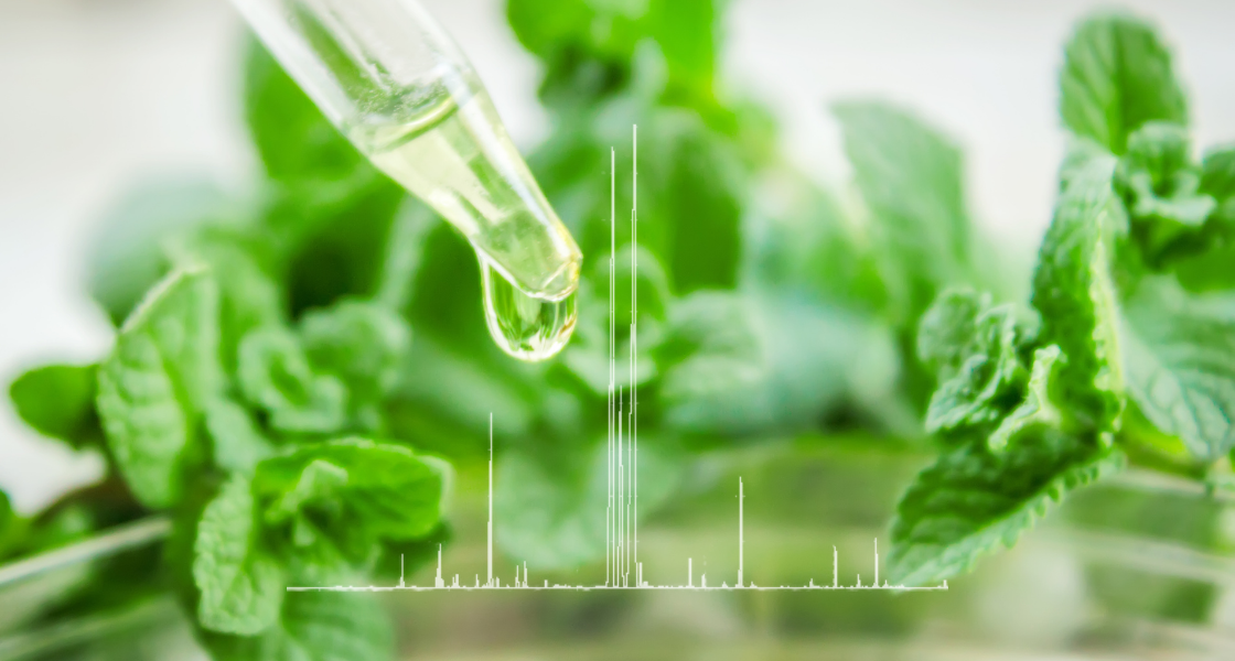 normalisation image couv