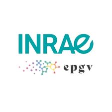 INRAE – EPGV