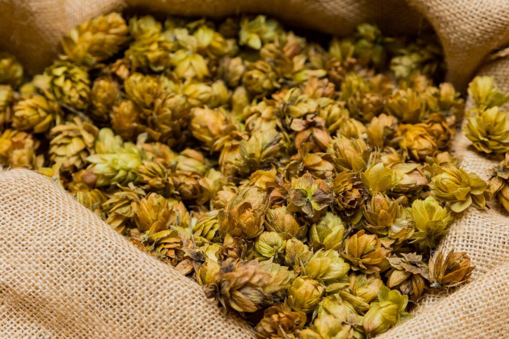 houblon