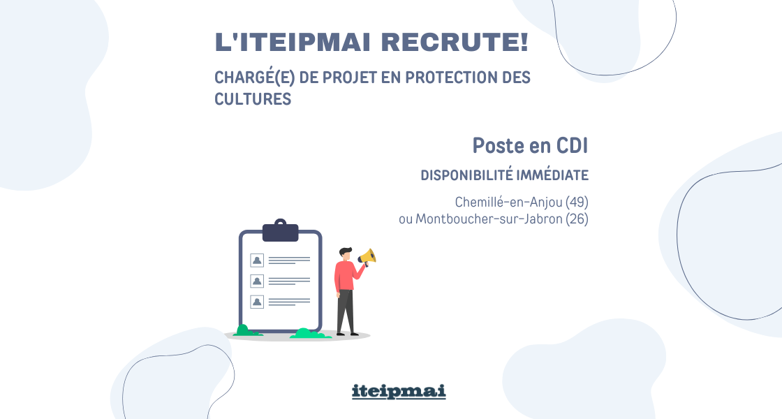 Charge projet CDI
