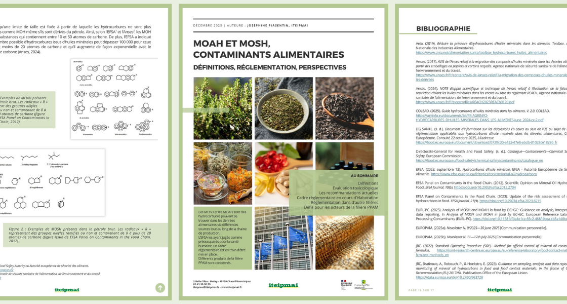 Illustration DT Moah Mosh