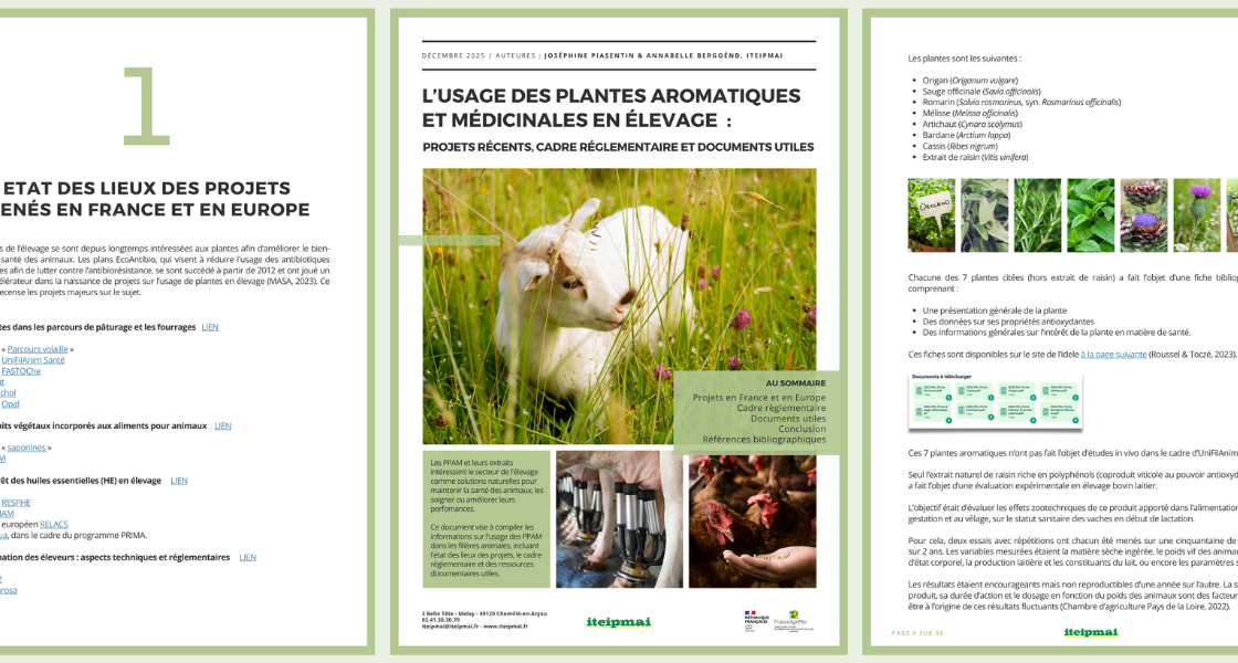 Illustration DT PA PM elevage