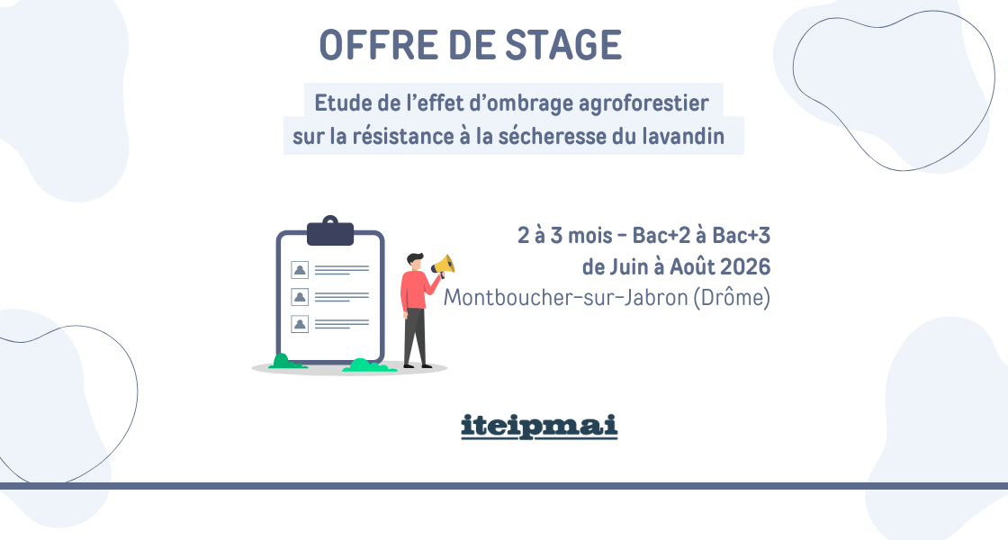 stage2026 canoppam v2