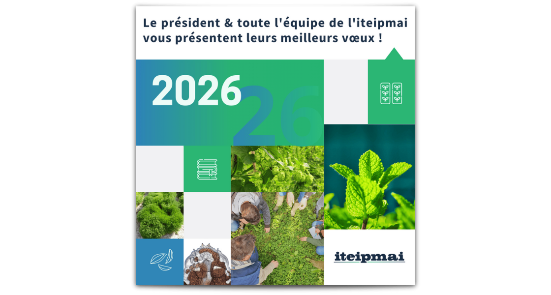 voeux 2026