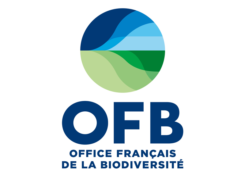 logo ofb actualite