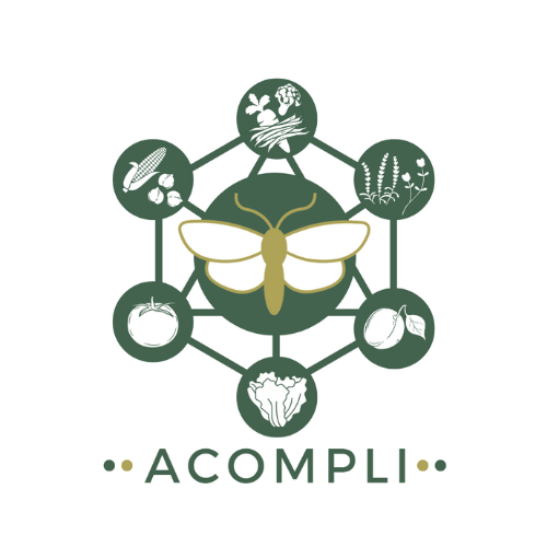 LOGO ACOMPLI VF