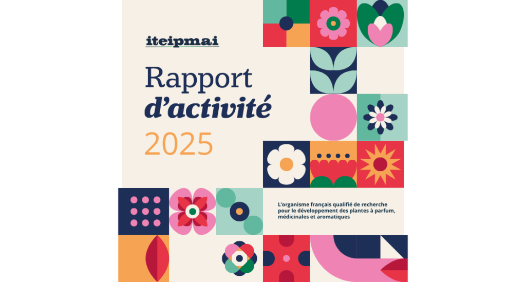 Rapport activite 2025