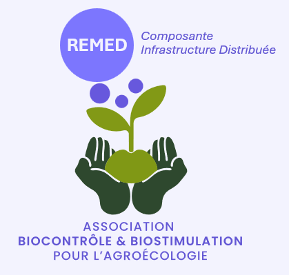 remed