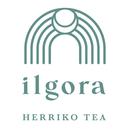 Ilgora