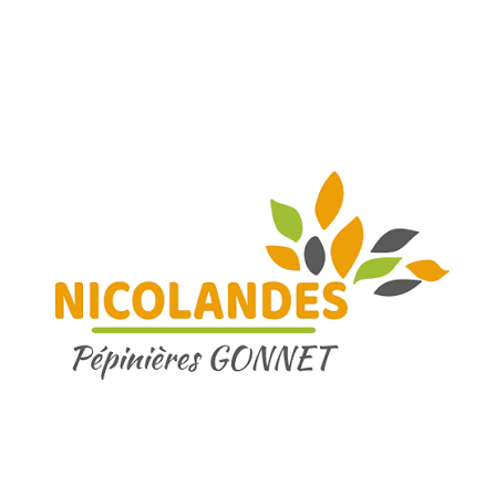 Nicolandes