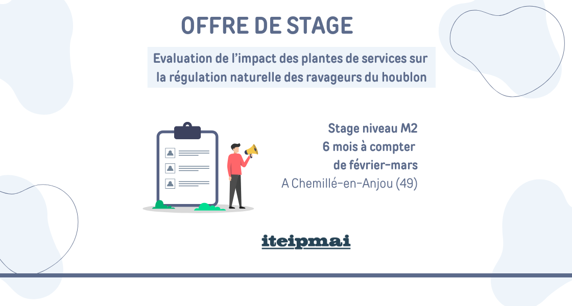 2026 stage houblon
