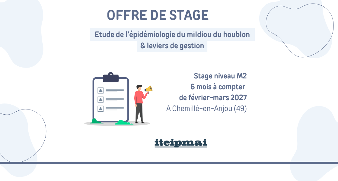 2026 OFFRE stage MILIBHOP